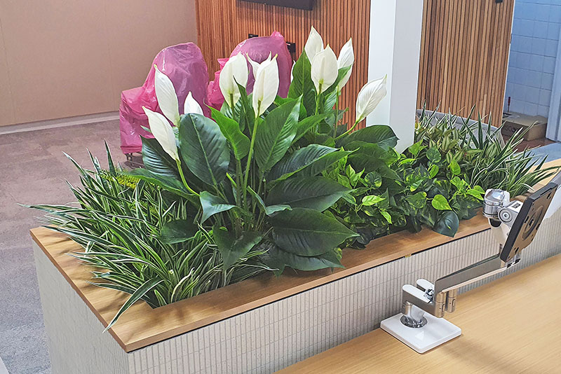 New offices with a green shine...