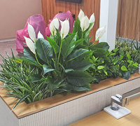 New offices with a green shine...