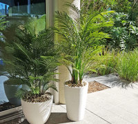 Green accents help unify adjacent office spaces...