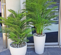 Green accents help unify adjacent office spaces...