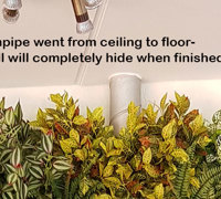Hiding an ugly downpipe using artificial Green-Walls