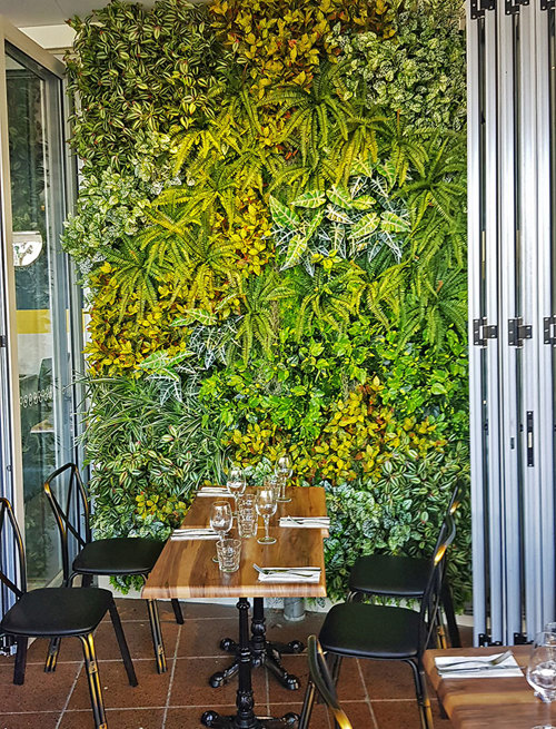 Hiding an ugly downpipe using artificial Green-Walls