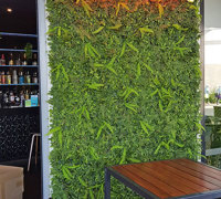 Hiding an ugly downpipe using artificial Green-Walls