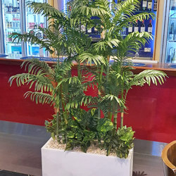 Mini-Cane Palm 1.5m - artificial plants, flowers & trees - image 4