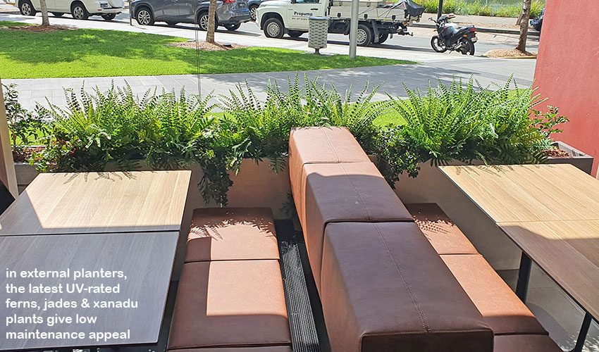 sun-tolerant bistro barrier greenery