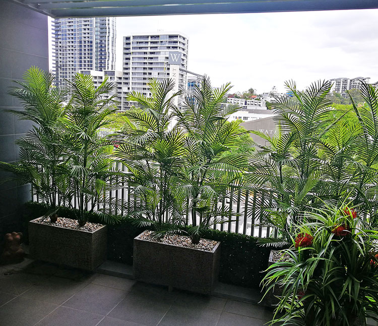 Green balcony privacy screen with UV-treated palms image 4