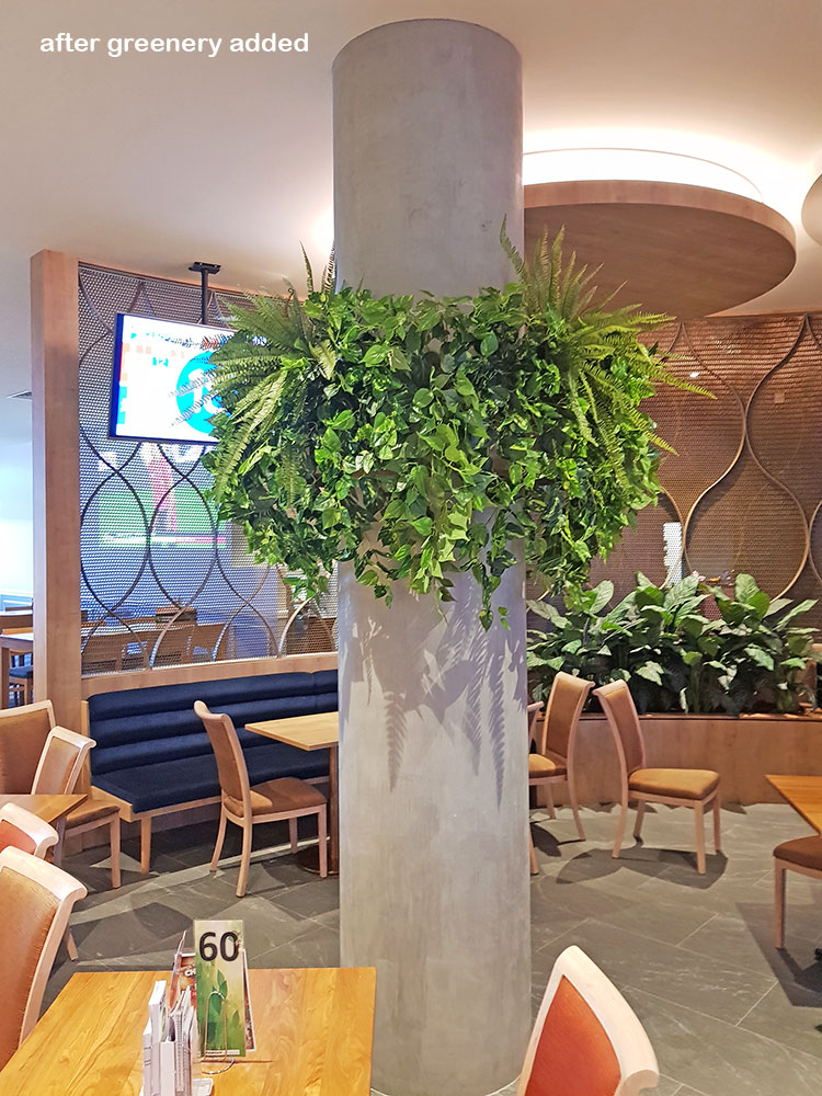 Football Clubhouse uses artificial greenery to set-off beautiful custom-built planters image 6