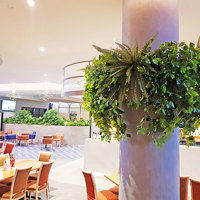 Football Clubhouse uses artificial greenery to set-off beautiful custom-built planters poplet image 1