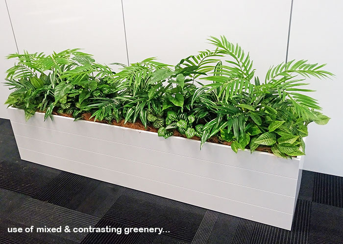 Assorted office planters with matching greenery mixes... image 2