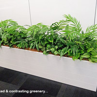 Assorted office planters with matching greenery mixes... poplet image 1