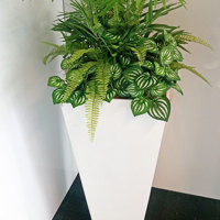 Assorted office planters with matching greenery mixes... poplet image 2