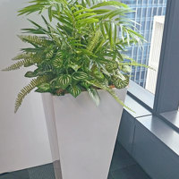 Assorted office planters with matching greenery mixes... poplet image 5