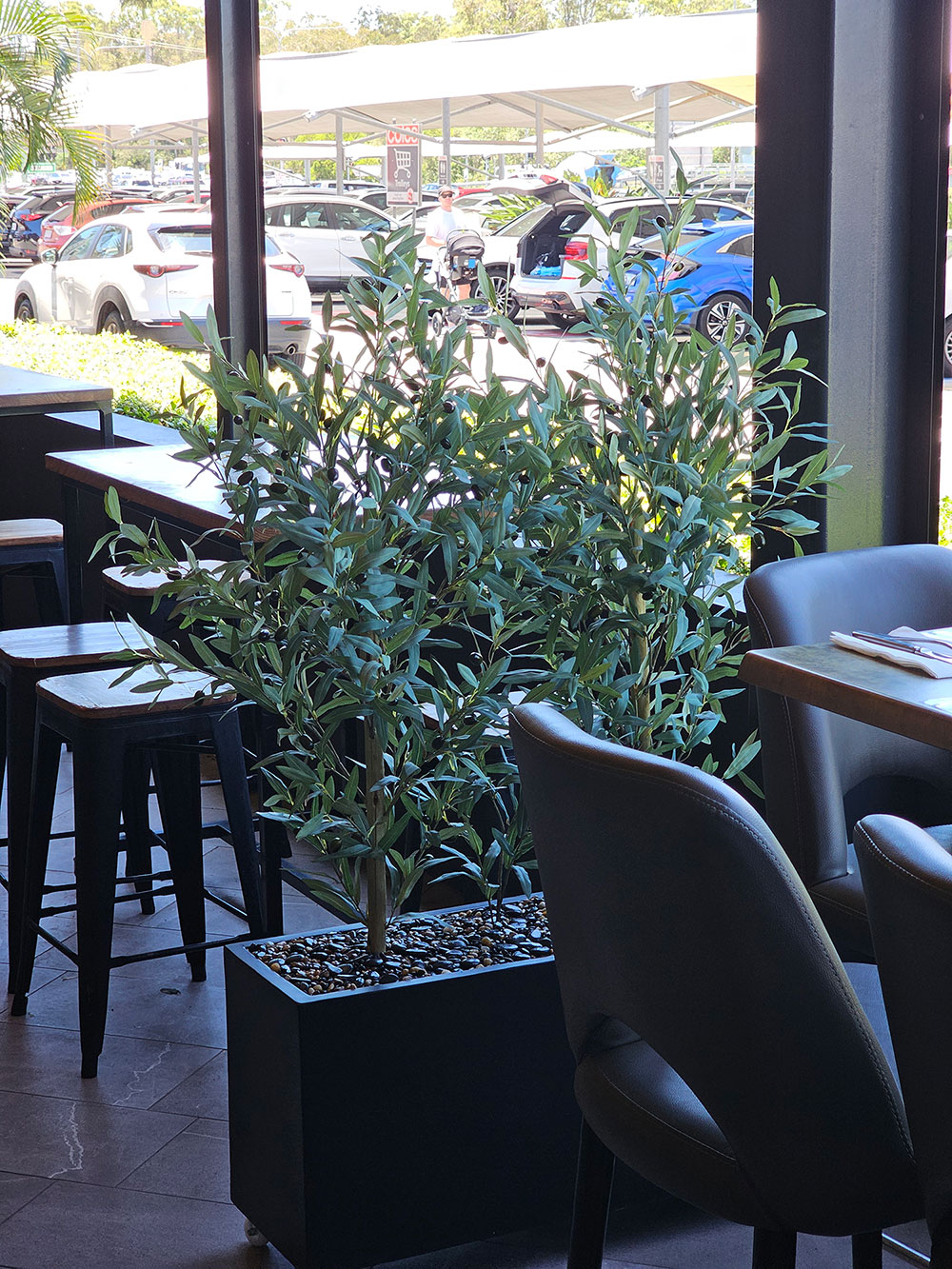 Olive Trees set into trough planter