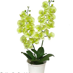 Artificial Butterfly Orchid Bowls- purple - artificial plants, flowers & trees - image 1