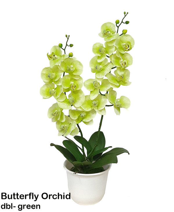 Articial Plants - Artificial Butterfly Orchid Bowls- green
