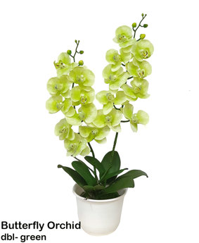 Artificial Butterfly Orchid Bowls- green