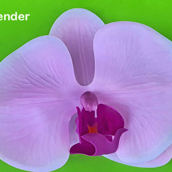 Artificial Butterfly Orchid Bowls- purple - artificial plants, flowers & trees - image 4
