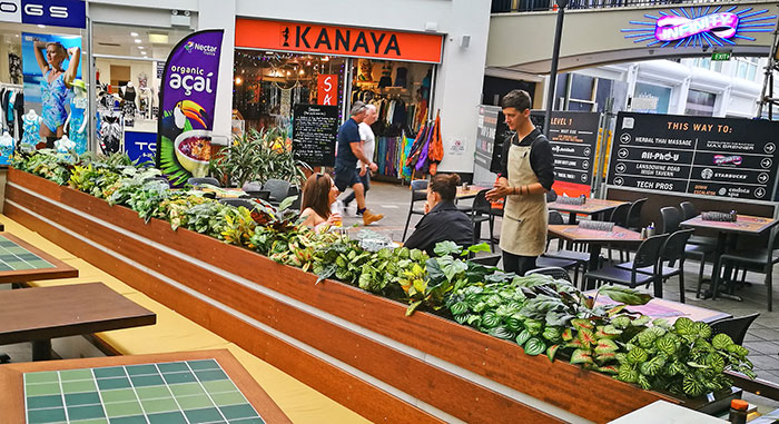 Window-Box planters in Restaurant image 11