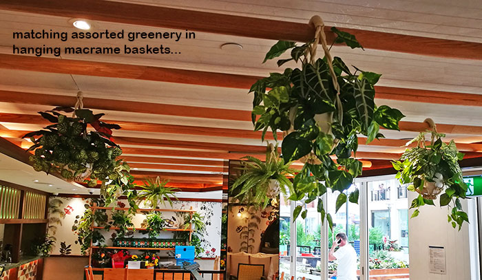 Window-Box planters in Restaurant image 9