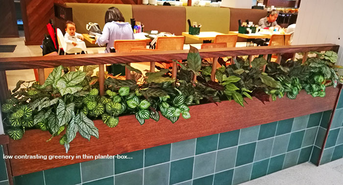 Window-Box planters in Restaurant image 4