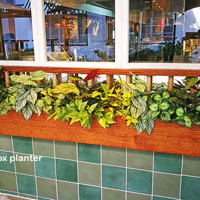 Window-Box planters in Restaurant poplet image 2