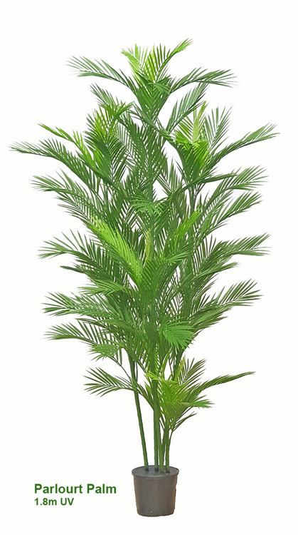 Articial Plants - Parlour Palm UV 1.8m