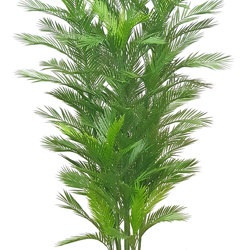 Parlour Palm UV 1.8m - artificial plants, flowers & trees - image 9