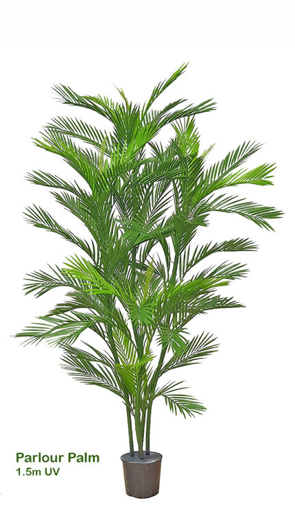 Articial Plants - Parlour Palm UV 1.5m