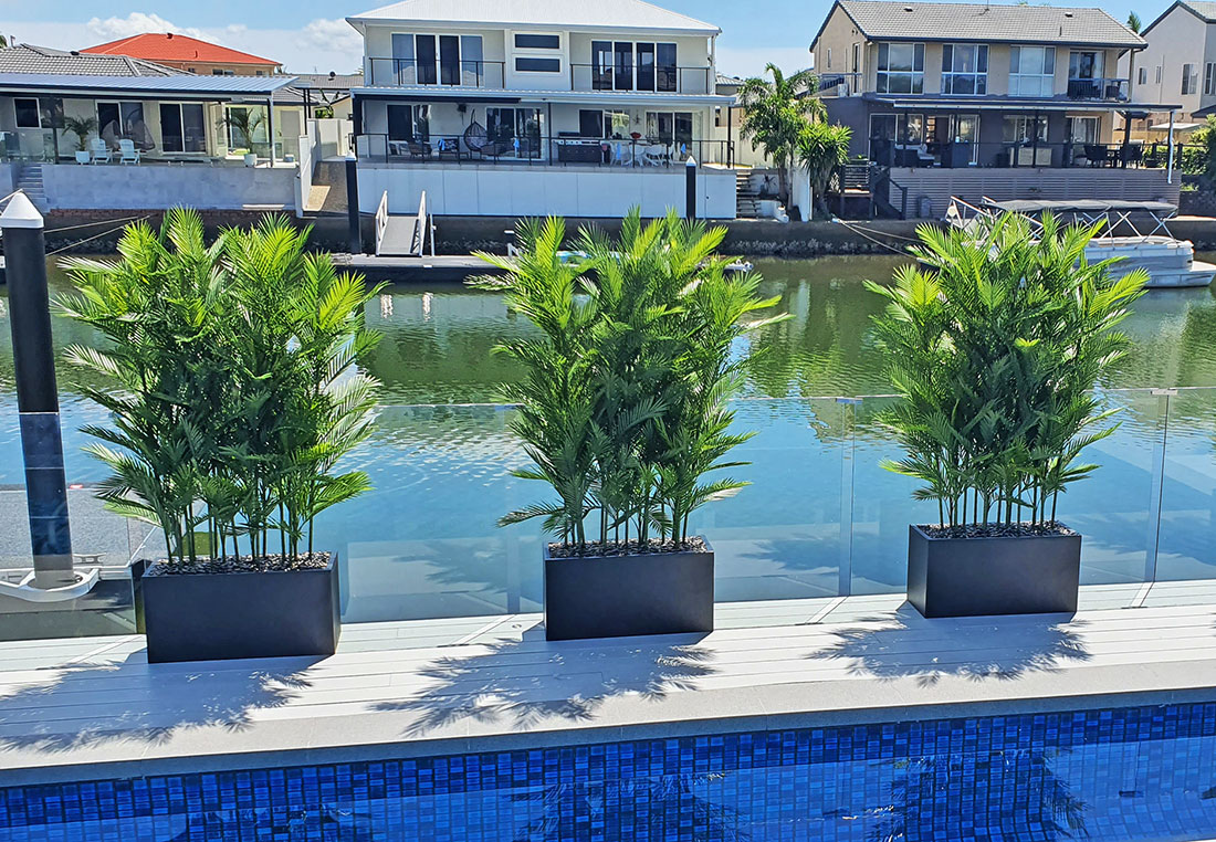 deck privacy with Palm Troughs 