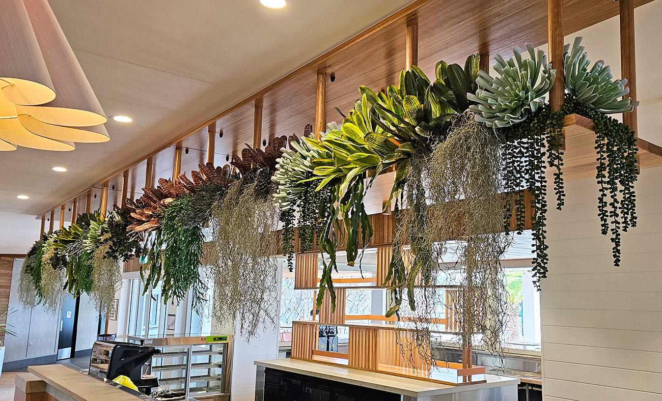 Assorted succulents fill & trail from shelf over servery