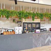 New Tavern uses artificial greenery- lots! poplet image 10