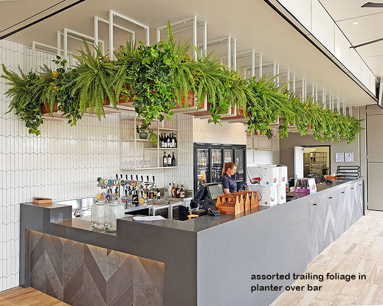 New Tavern uses artificial greenery- lots! image 8