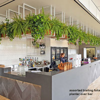 New Tavern uses artificial greenery- lots! poplet image 7