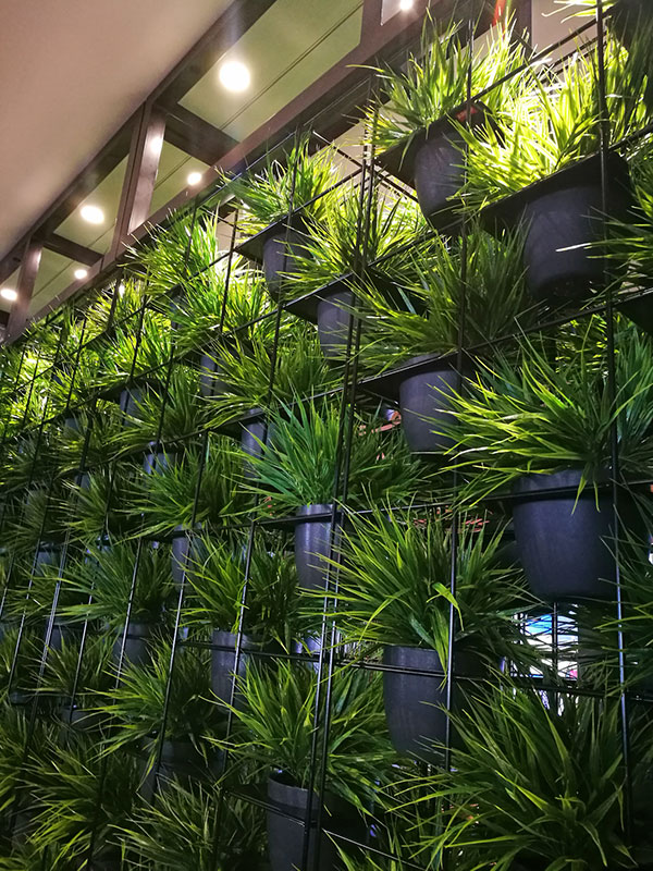Green Plants in shelves as a room divider image 3