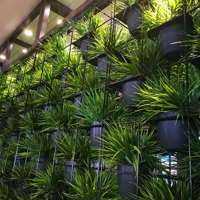Green Plants in shelves as a room divider poplet image 2