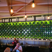Green Plants in shelves as a room divider poplet image 3