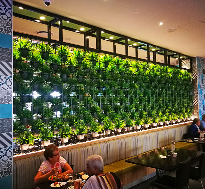 Green Plants in shelves as a room divider image 2