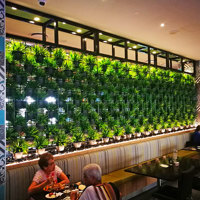 Green Plants in shelves as a room divider poplet image 1