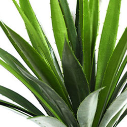 Agave- Spikey Agave Plant UV 1.3m with 4 heads  - artificial plants, flowers & trees - image 1