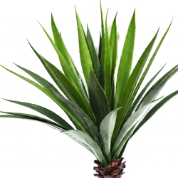 Agave- Spikey Agave Plant UV 1.3m with 4 heads  - artificial plants, flowers & trees - image 1