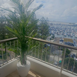 Alexander Palm 2.1m UV-treated   - artificial plants, flowers & trees - image 3