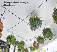 Tavern revamp gets a finishing-touch of green!