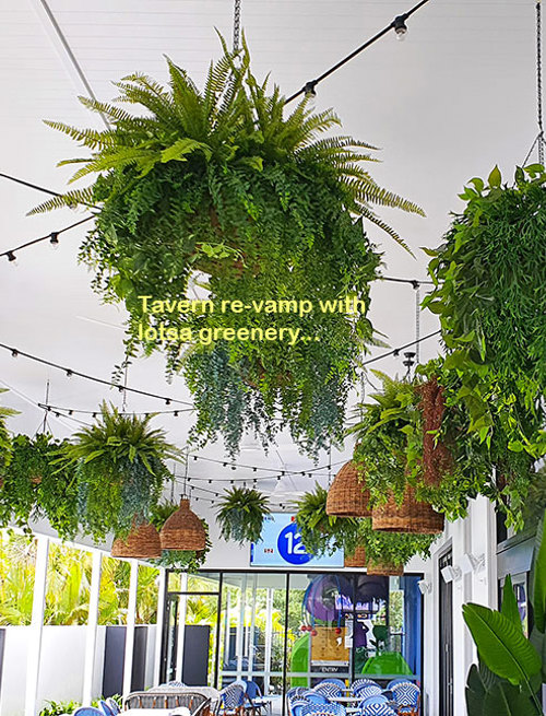 Tavern revamp gets a finishing-touch of green!