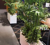 Tavern revamp gets a finishing-touch of green!