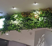 Artificial Green Walls brighten up Food Court entrance in Shopping Mall...
