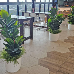 Rubber-Tree 1.6m - artificial plants, flowers & trees - image 2