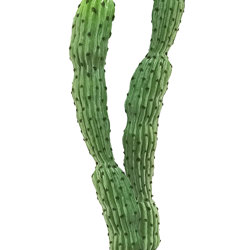 Cactii- Baja Cactus double-trunk 1.4m - artificial plants, flowers & trees - image 4