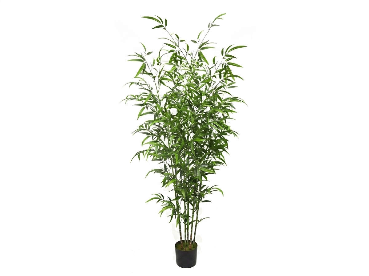 Bali Bamboo 1.8m
