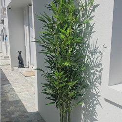 Bamboo UV-treated 1.6m - artificial plants, flowers & trees - image 1