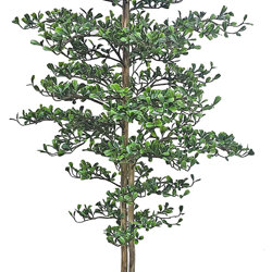 Black Olive Tree 1.5m UV-rated - artificial plants, flowers & trees - image 2